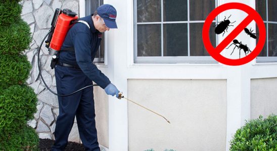 Dilovası Böcek İlaçlama böcek ilaçlama ve haşere kontrolü — ilaclama-tr.com